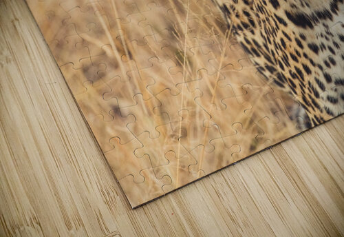 leopard VMC Photography puzzle