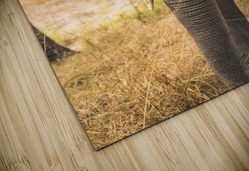 Elephant VMC Photography puzzle