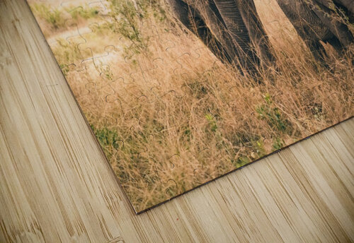 Elephants VMC Photography puzzle