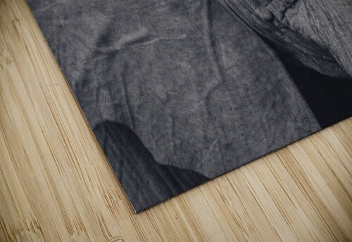 Elephant Eyes VMC Photography puzzle