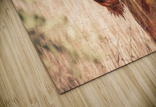 Hunter VMC Photography puzzle