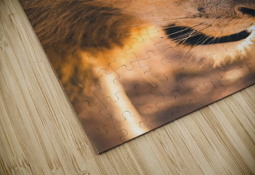 Lions Den VMC Photography puzzle