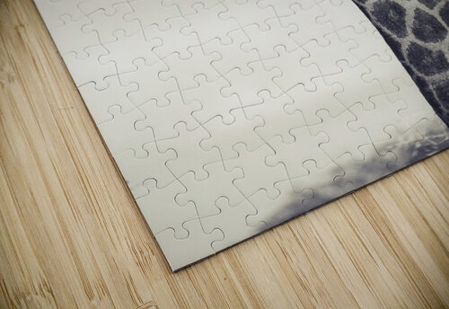 Giraffe VMC Photography puzzle