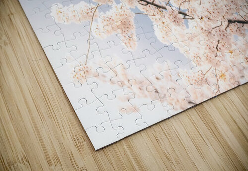 Cherry Blossoms DC VMC Photography puzzle