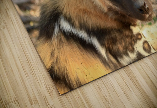 AdriaanPrinsloo 9022 Adriaan Prinsloo puzzle