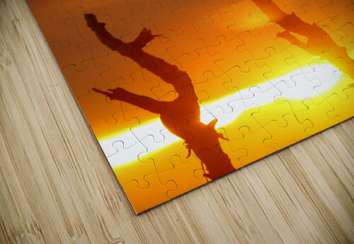 AdriaanPrinsloo 4028 Adriaan Prinsloo puzzle