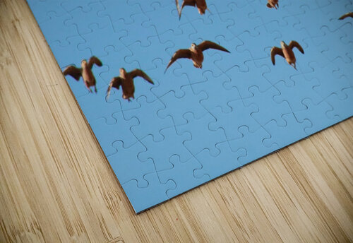 AdriaanPrinsloo 4488 Adriaan Prinsloo puzzle