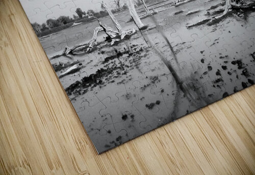 AdriaanPrinsloo 103951 Adriaan Prinsloo puzzle