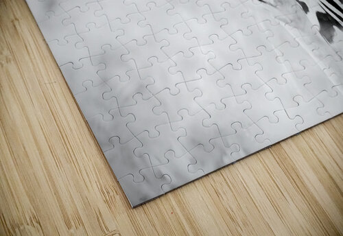 AdriaanPrinsloo 6718 Adriaan Prinsloo puzzle