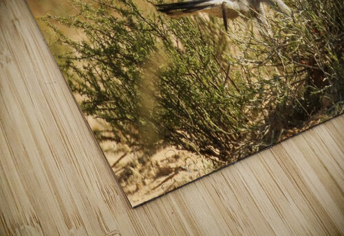 AdriaanPrinsloo 4564 Adriaan Prinsloo puzzle