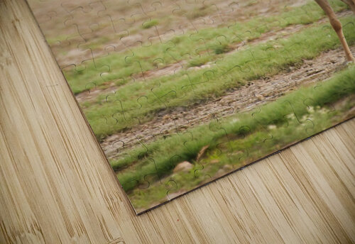 AdriaanPrinsloo 6071 2 Adriaan Prinsloo puzzle