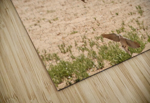 AdriaanPrinsloo 7140 2 Adriaan Prinsloo puzzle