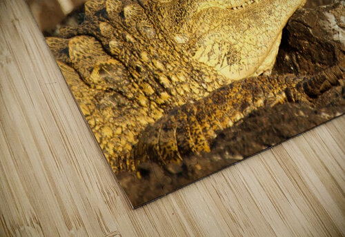 AdriaanPrinsloo 8074 Adriaan Prinsloo puzzle