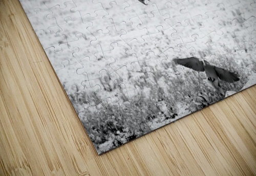 AdriaanPrinsloo 7140 Adriaan Prinsloo puzzle