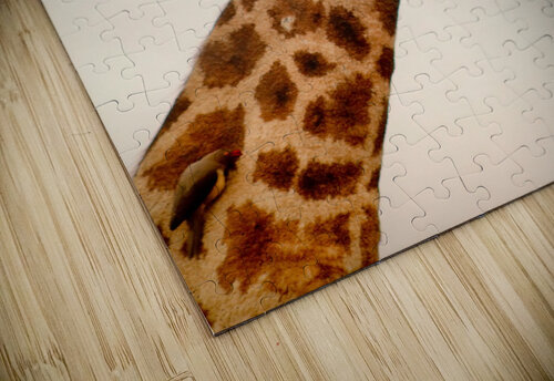 AdriaanPrinsloo 5035 Adriaan Prinsloo puzzle