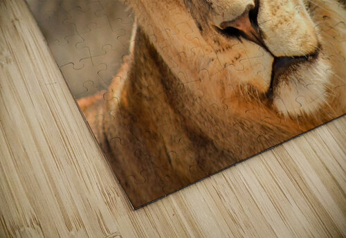 AdriaanPrinsloo 7888 Adriaan Prinsloo puzzle