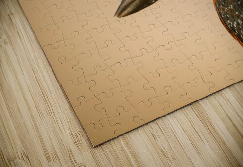 AdriaanPrinsloo 6648 Adriaan Prinsloo puzzle