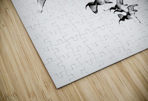 AdriaanPrinsloo 13001 Adriaan Prinsloo puzzle