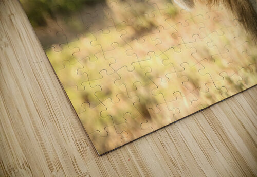 AdriaanPrinsloo 6942 Adriaan Prinsloo puzzle