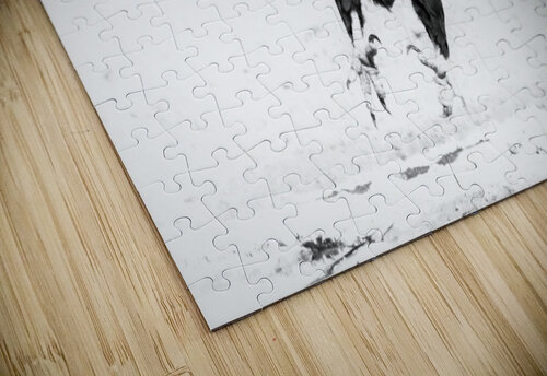 AdriaanPrinsloo 7176 Adriaan Prinsloo puzzle