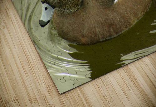 Duck Kristian Gunderson puzzle