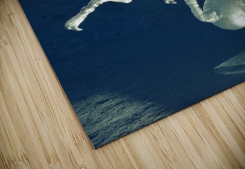 Ice Dragonfly Kristian Gunderson puzzle