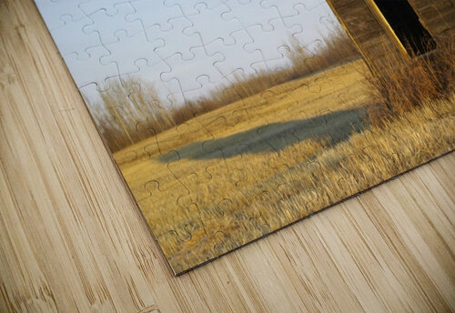 Grain Shed Kristian Gunderson puzzle