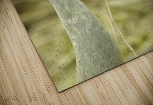 Sandhill Crane Kristian Gunderson puzzle