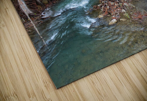 IMG_1577 Carolyn Savell Photography puzzle