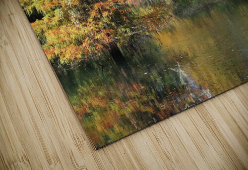 IMG_4130 Carolyn Savell Photography puzzle