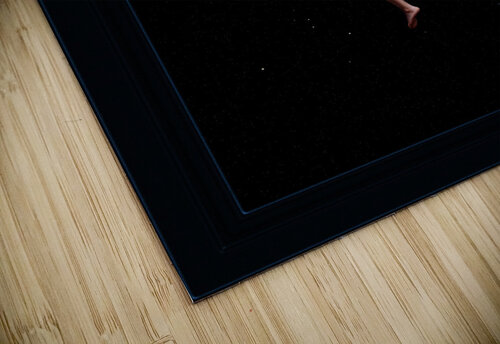 Moon Nymph by Luis Ricardo Falero AOW FRMD Old Masters Classical Art Reproduction xzendor7 puzzle