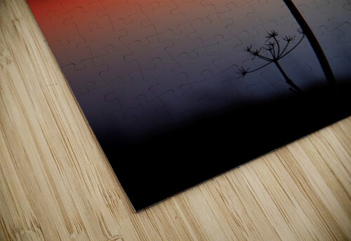 Solitude Veo December puzzle