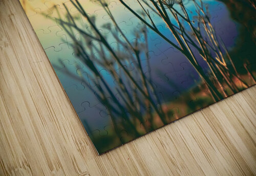 Path to Tomorrow Veo December puzzle