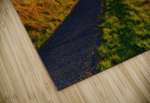 Bliss in Oil Veo December puzzle