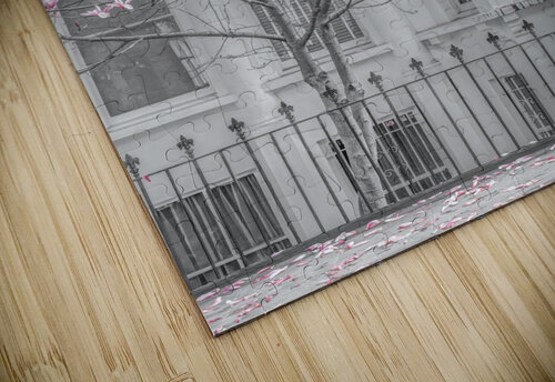 Magnolia tree outside house in London Assaf Frank puzzle