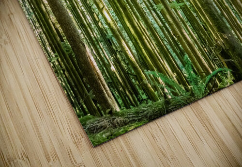Straight and True bj clayden photography puzzle