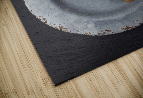 Pizza plate Amazing puzzle