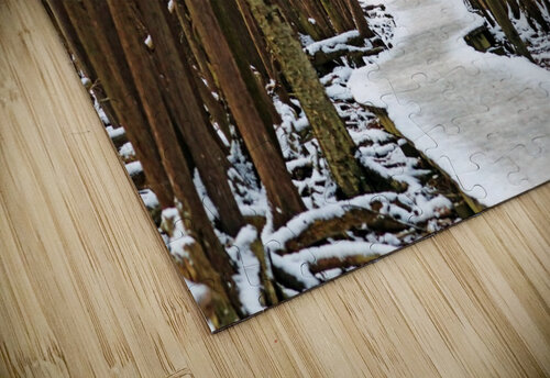 Over The Winter Wetland Deb Oppermann puzzle