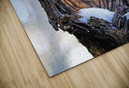 Diamond In The Heart Deb Oppermann puzzle