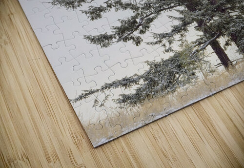 Dead or Alive Kristian Gunderson puzzle