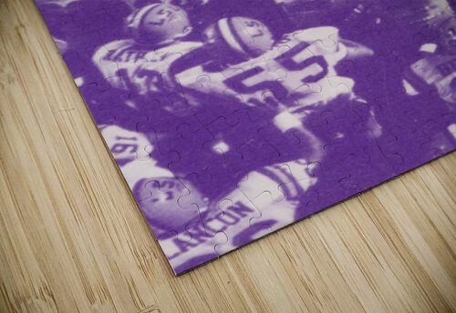 1983 LSU Tigers Football Art Row One Brand puzzle