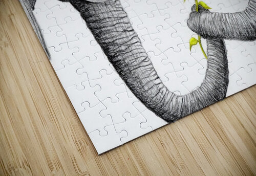 Up Close You Are More Wrinkly Than I Remember  Christine Cholowsky puzzle