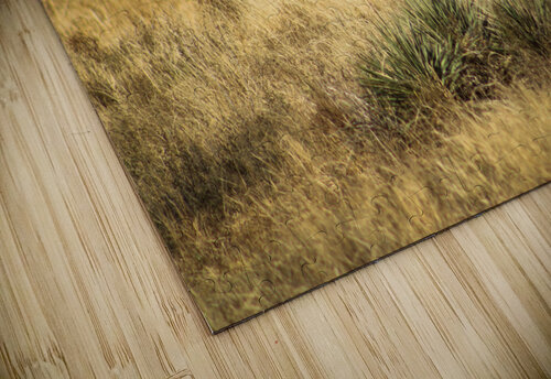 Red Bull Susan Diann Photography puzzle