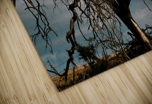 If 2020 Were a Tree Susan Diann Photography puzzle