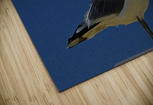 Seagull Iconic Beach Bird Bill Swartwout Photography puzzle