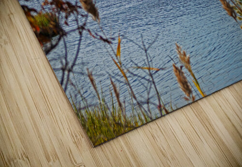 Northside Park Fishing Pier Bill Swartwout Photography puzzle