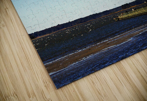 Canada Geese at Northside Park Bill Swartwout Photography puzzle