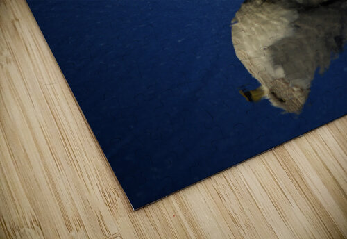 Seagull Wading Reflection at the Beach Bill Swartwout Photography puzzle