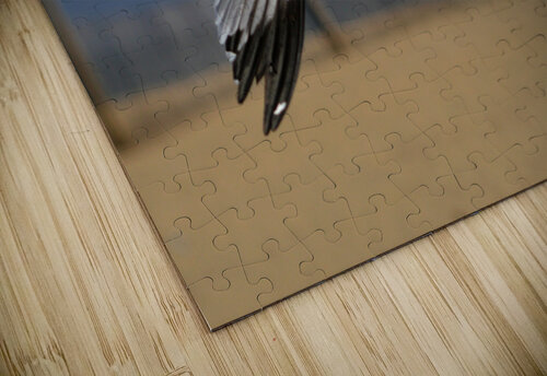 Seagull Cleared for  Landing at the Beach Bill Swartwout Photography puzzle