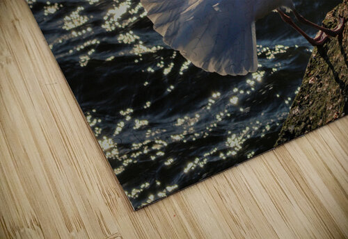 Seagull Wing Detail at the Ocean City Inlet Bill Swartwout Photography puzzle